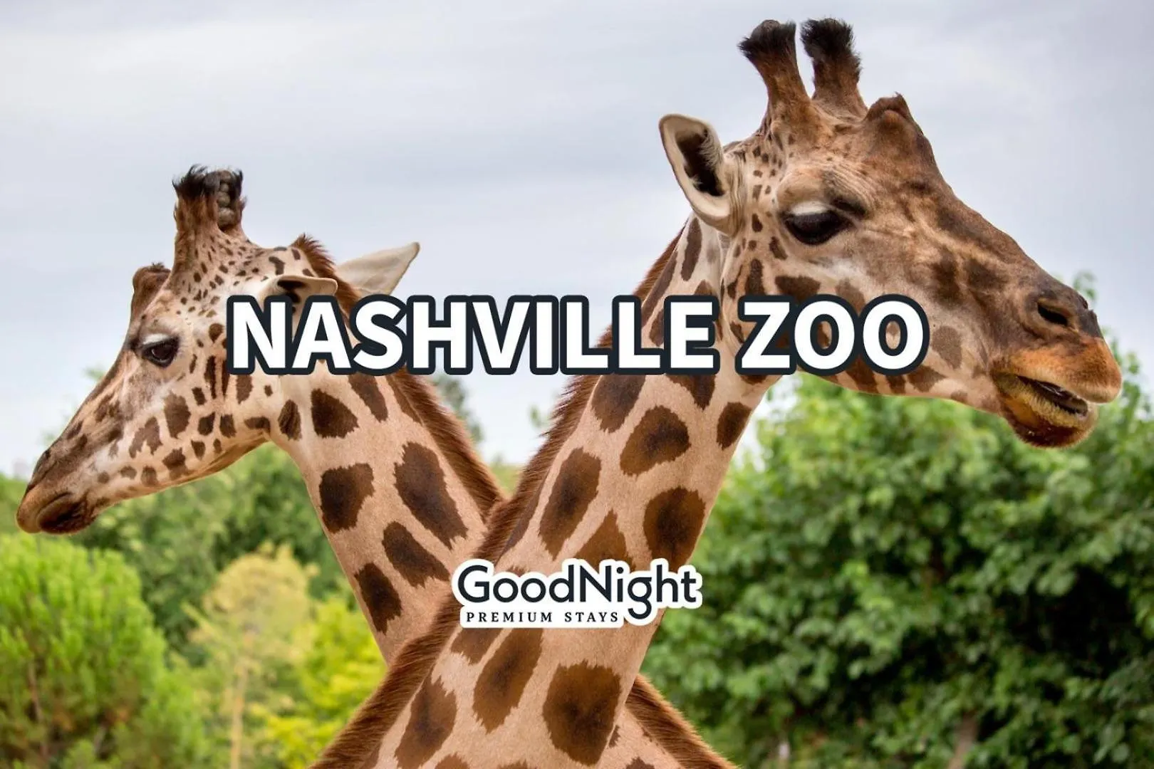 Vakantiehuis Nashville - 4908 Delaware Ave Unit G